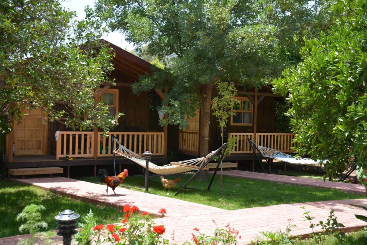 Caretta Caretta Pension Transfer
