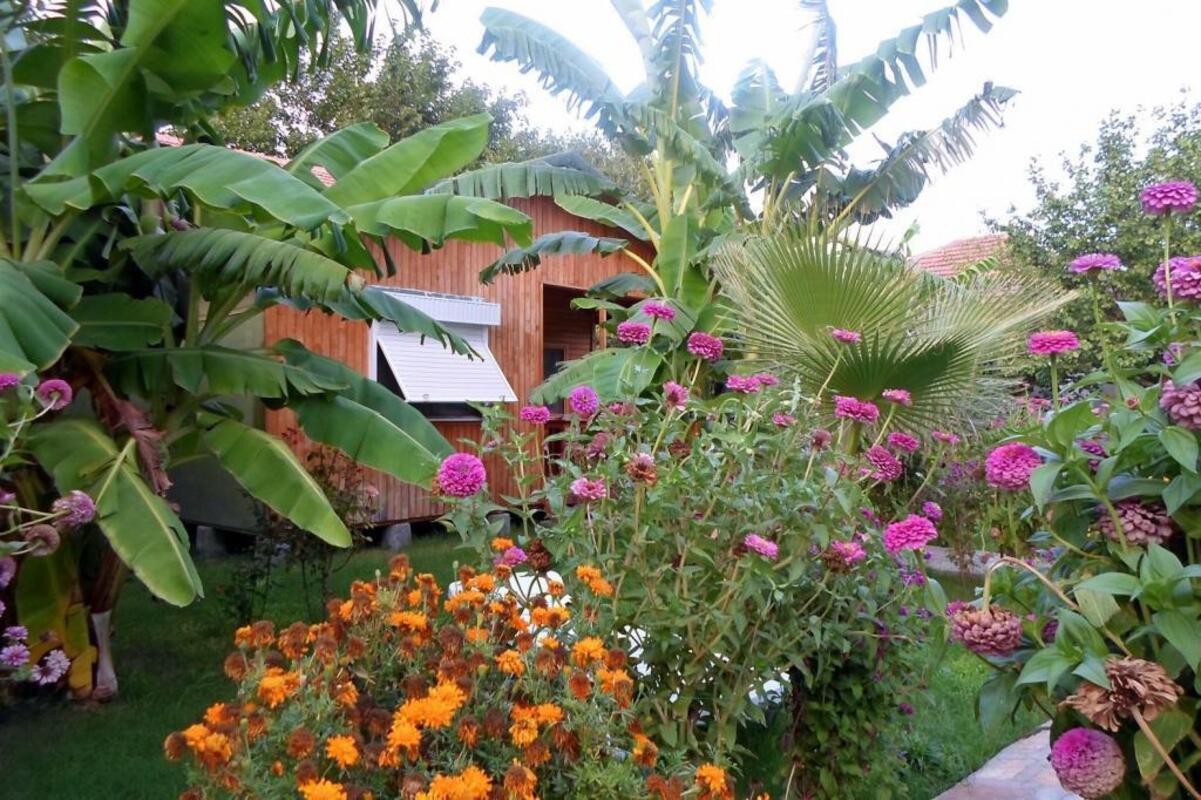 Estelar Bungalows Transfer