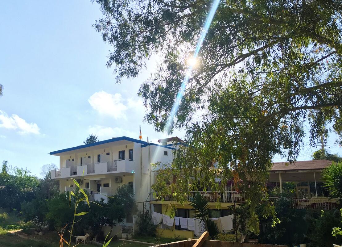 Eucalyptus Pension Transfer