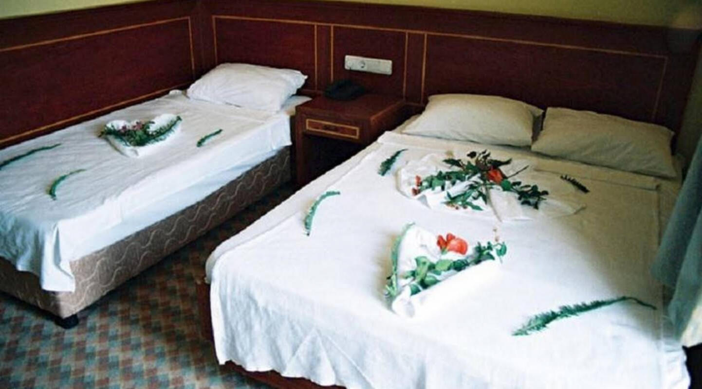 Free Green Hotel vip transfer