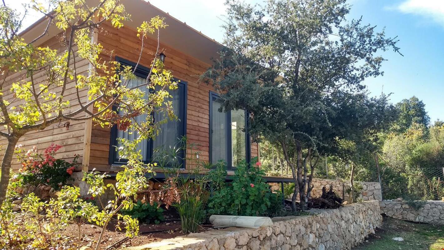 Karamel Calba Minik Ev Transfer