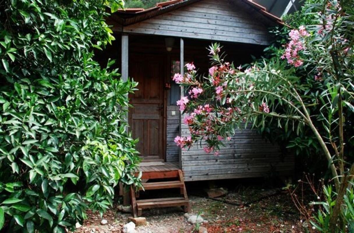 Maya Olympos Transfer