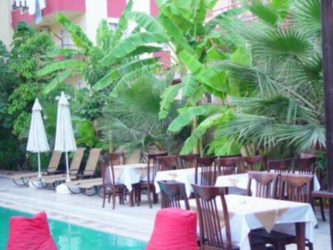 Safari Suite Hotel Transfer
