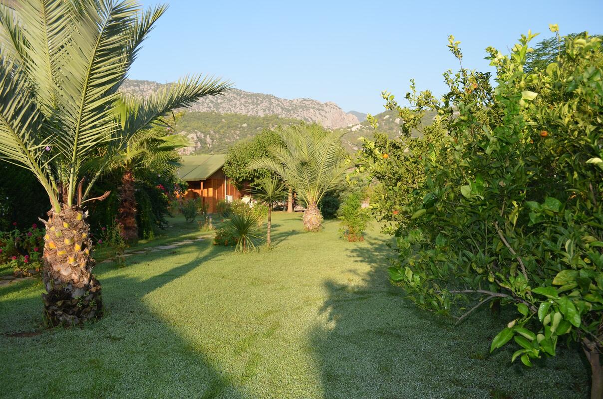 Tunay's Pension vip transfer